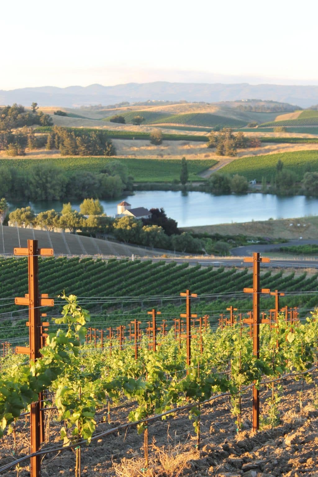 Why Napa, California