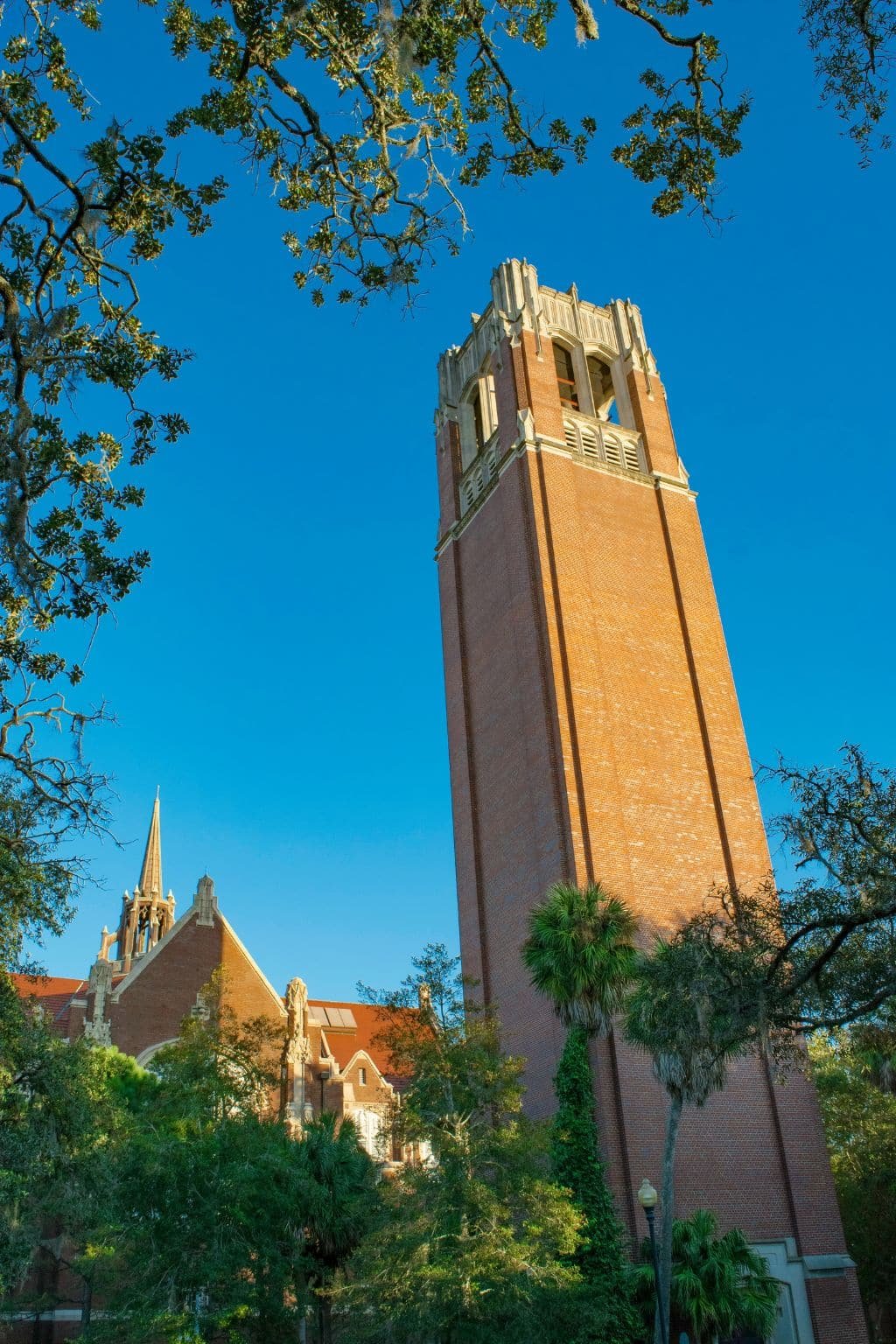 about Gainesville, Florida